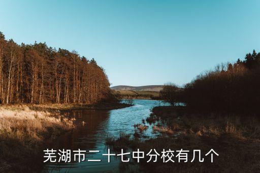 蕪湖27中的學區房有哪些...